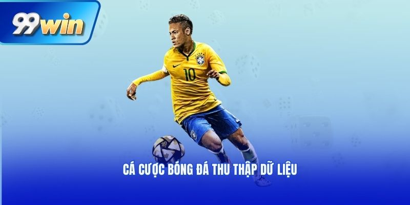 Cá cược bóng đá thu thập dữ liệu